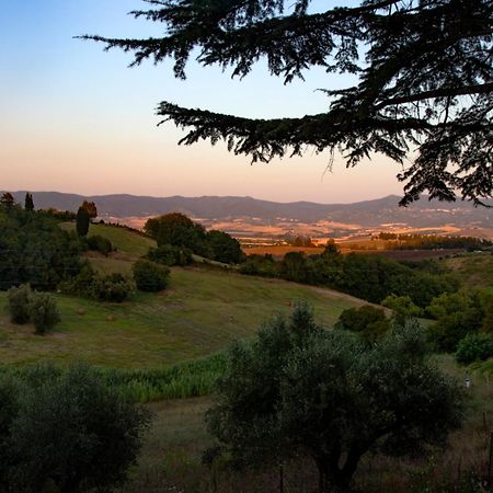 Agriturismo Terre Della Rinascita Castelnuovo della Misericordia Exterior foto