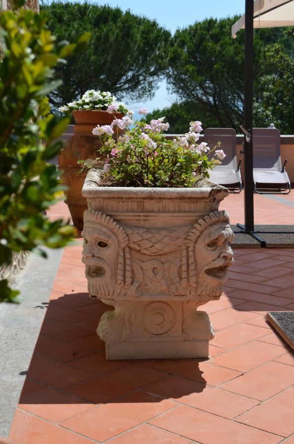 Agriturismo Terre Della Rinascita Castelnuovo della Misericordia Exterior foto