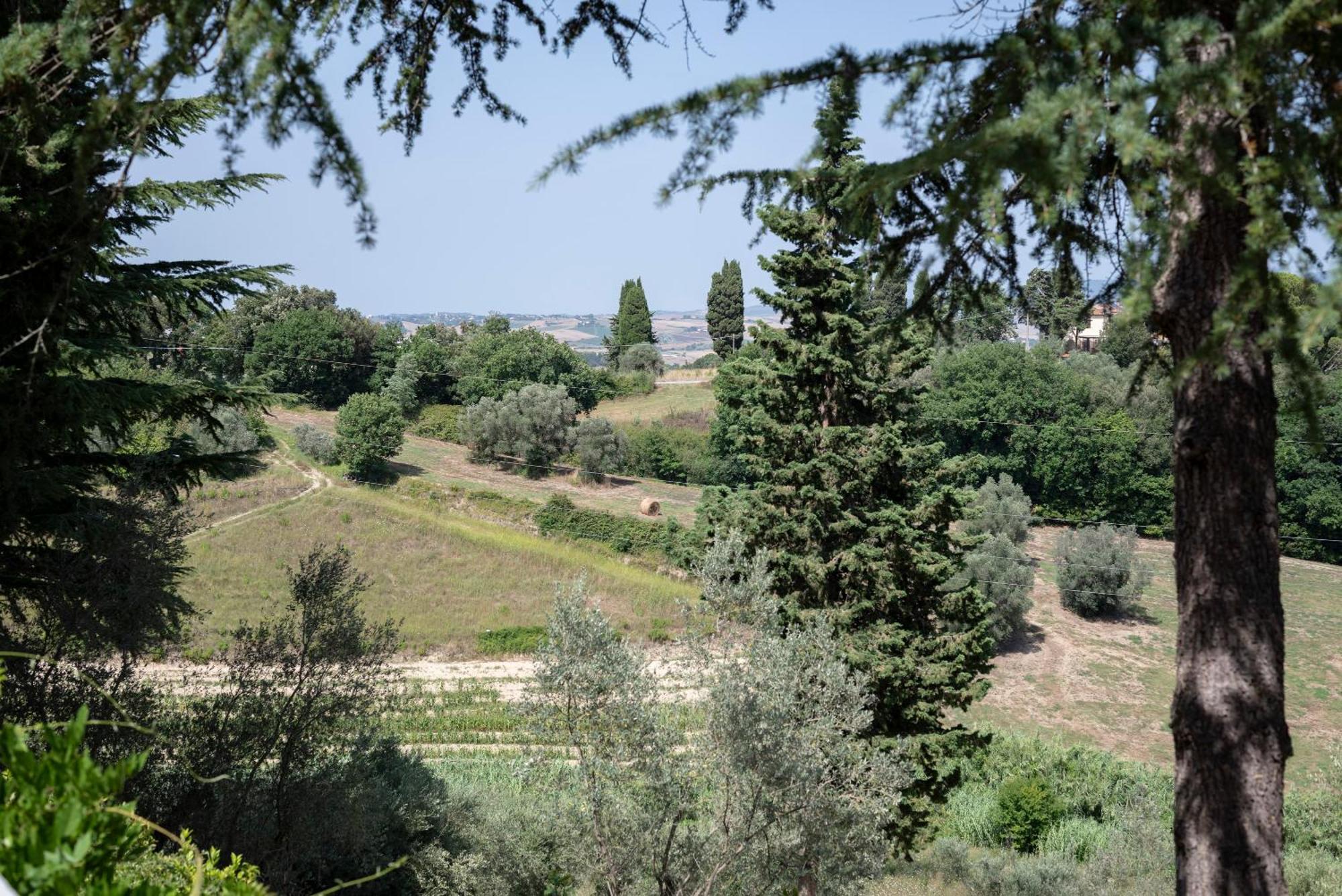 Agriturismo Terre Della Rinascita Castelnuovo della Misericordia Exterior foto