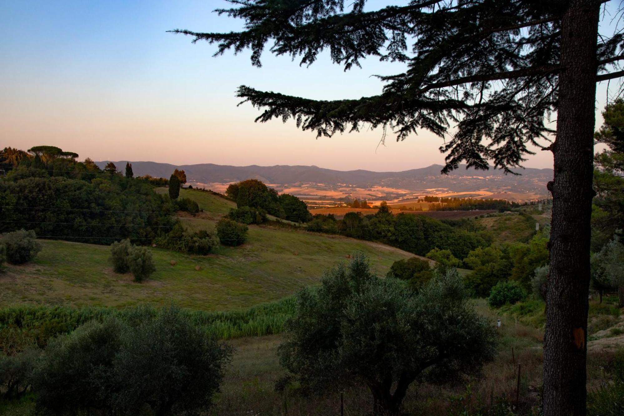 Agriturismo Terre Della Rinascita Castelnuovo della Misericordia Exterior foto